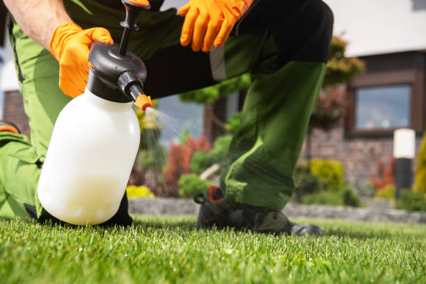 Best Commercial Pest Control Services  in Steep Falls, ME