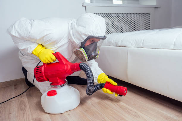Trusted Steep Falls, ME Pest Control Experts